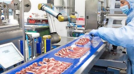 Implementación de Buenas Prácticas Manufactura (BPM) en Industrias Procesadoras de Alimentos