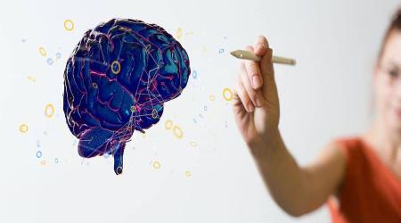 Neurodiseño. Estrategias para la docencia interdisciplinar