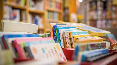 Microcurrículo y Diseño Universal para el Aprendizaje – DUA, desde el enfoque de la educación inclusiva