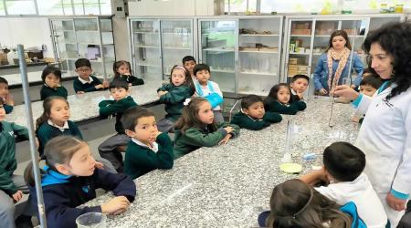 Pedagogía y didácticas aplicadas